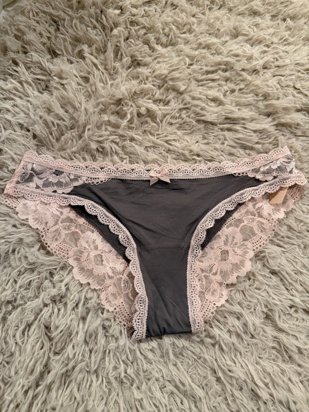 NWT 2014 Victoria's Secret Gray and Blush Lace Cheekini Panty Extra Small